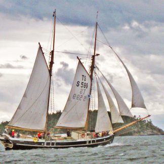 Svampsegling 25 - 27 september 2026